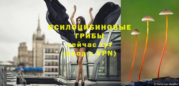 молекула духа Алексин