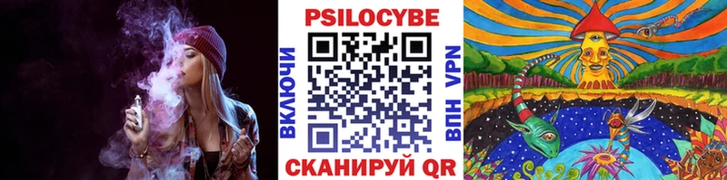 Псилоцибиновые грибы прущие грибы  что такое   Аркадак 